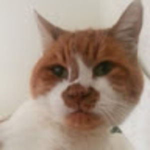 Meet your Posher, Faith